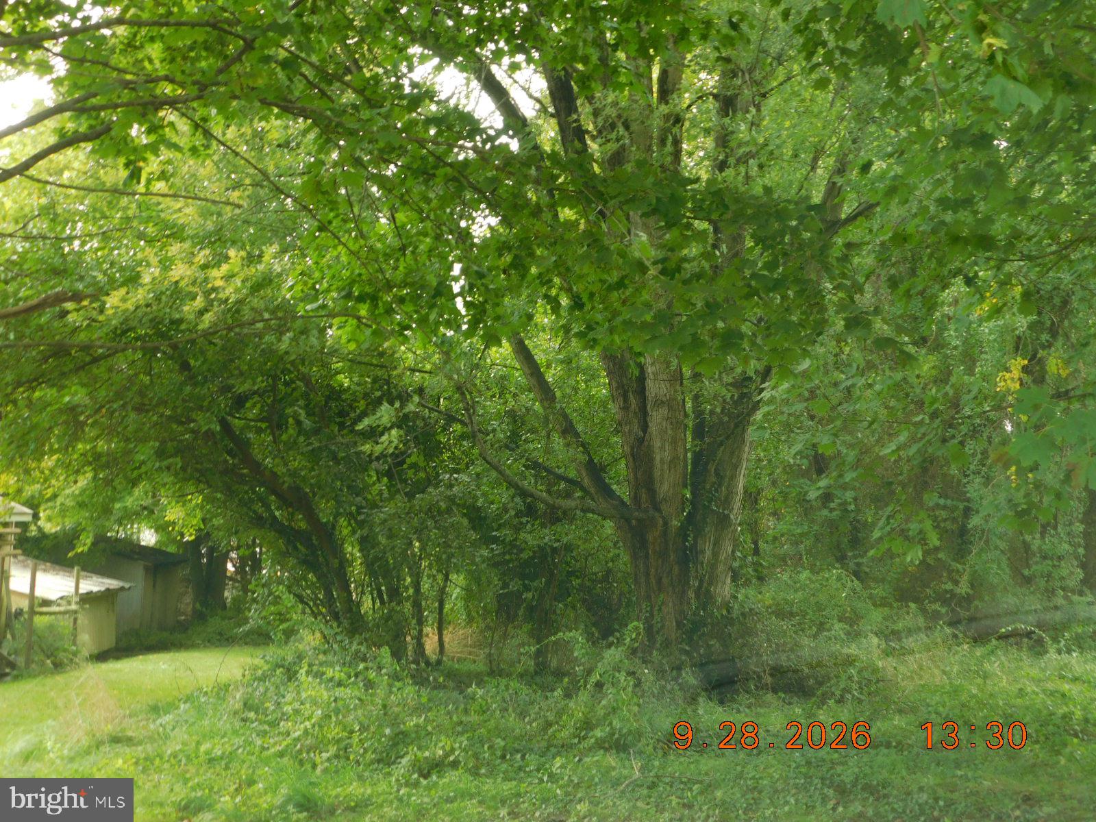 PRINCIPIO FURNACE ROAD