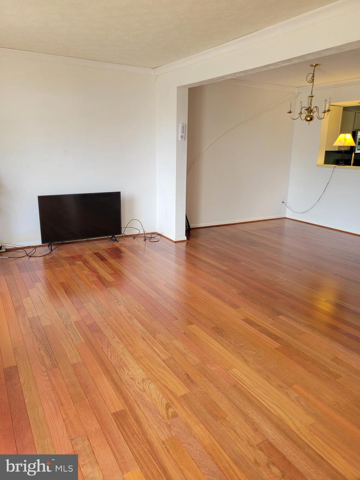 CHESTNUT HILL COVE - Residential