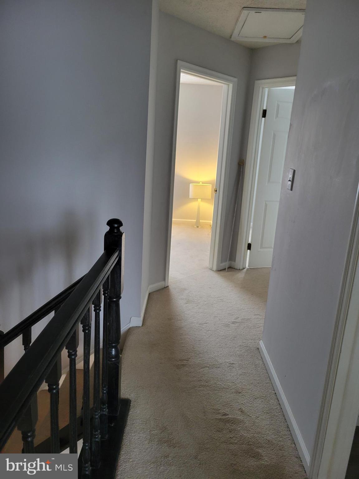 CHESTNUT HILL COVE - Residential