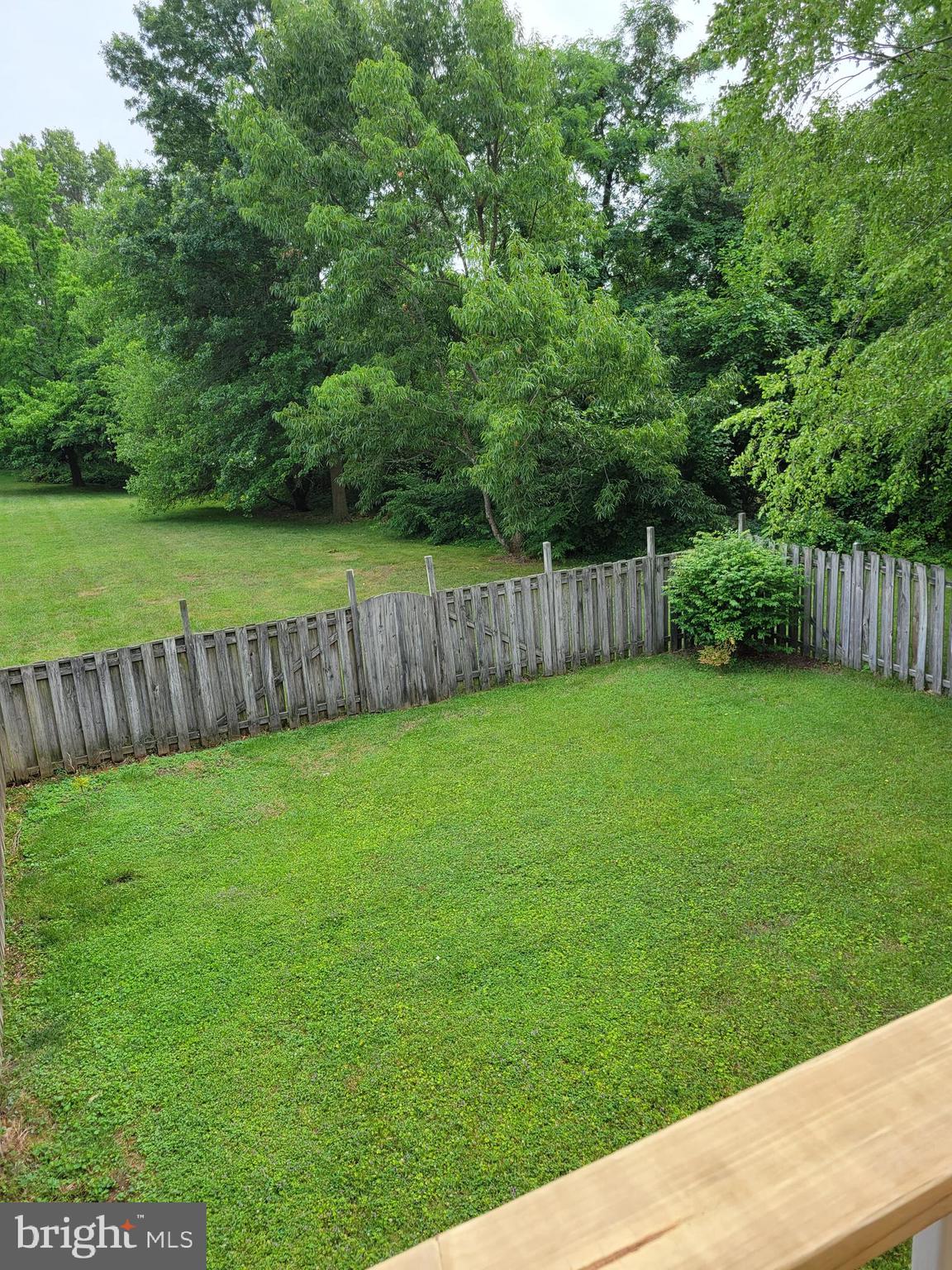 CHESTNUT HILL COVE - Residential