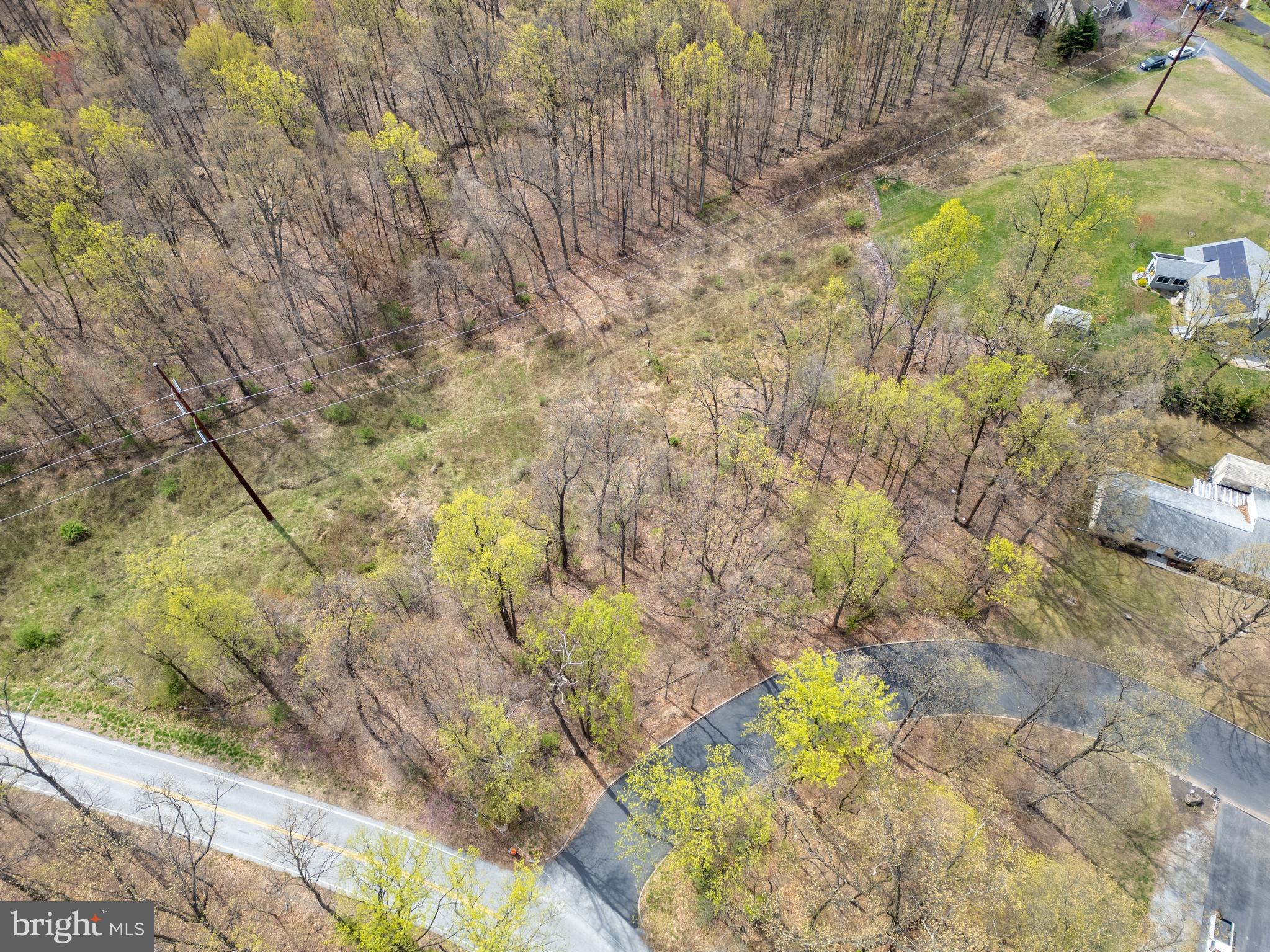 COLONIAL WOODS - Land