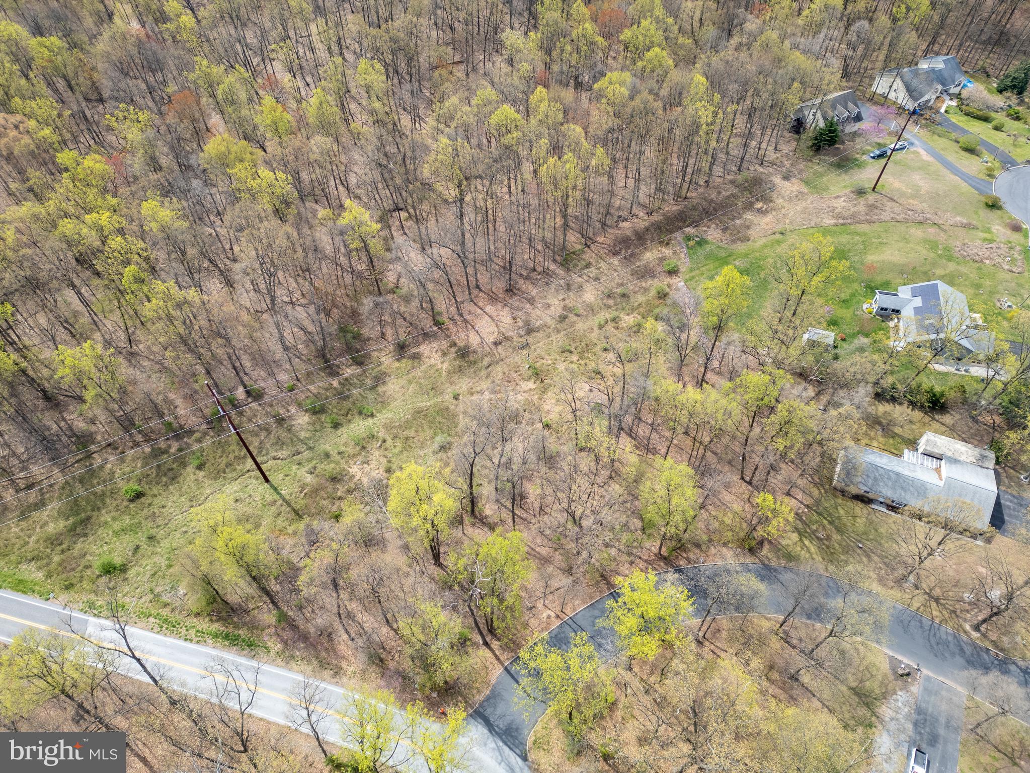 COLONIAL WOODS - Land