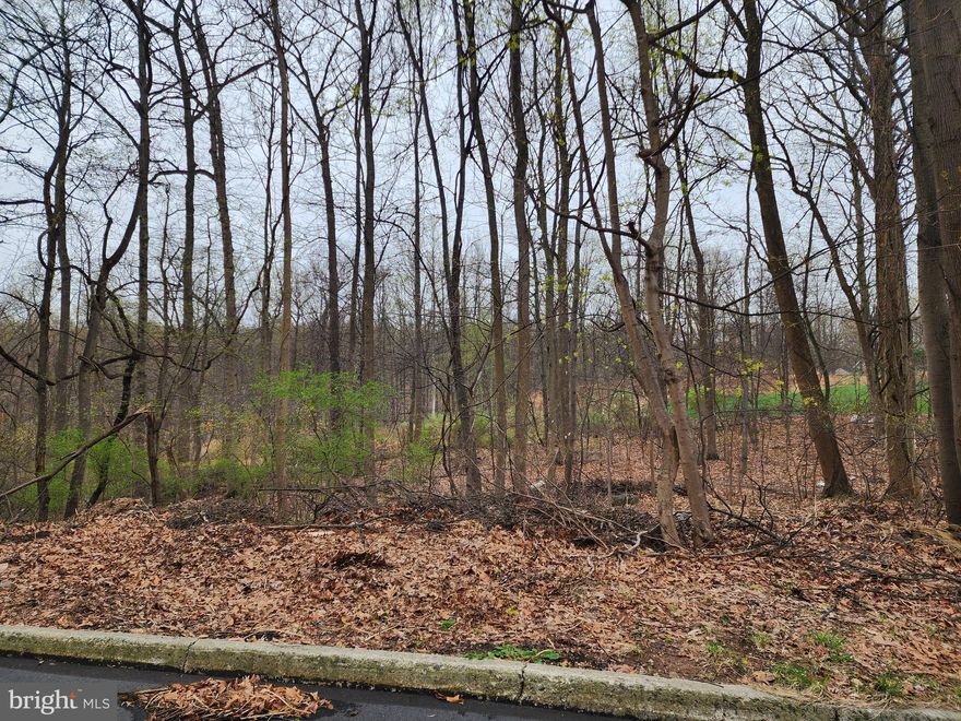 You'll definitely want to consider this beautiful wooded 1 acre lot in the beautiful Colonial Woods neighborhood to build your new home! This West Shore School District property is right off Big Spring Rd. Not quite enough acreage? There is another lot  that is .88 acres that connects to the back of this one that is also for sale. (Lot 98 Steuben Rd)