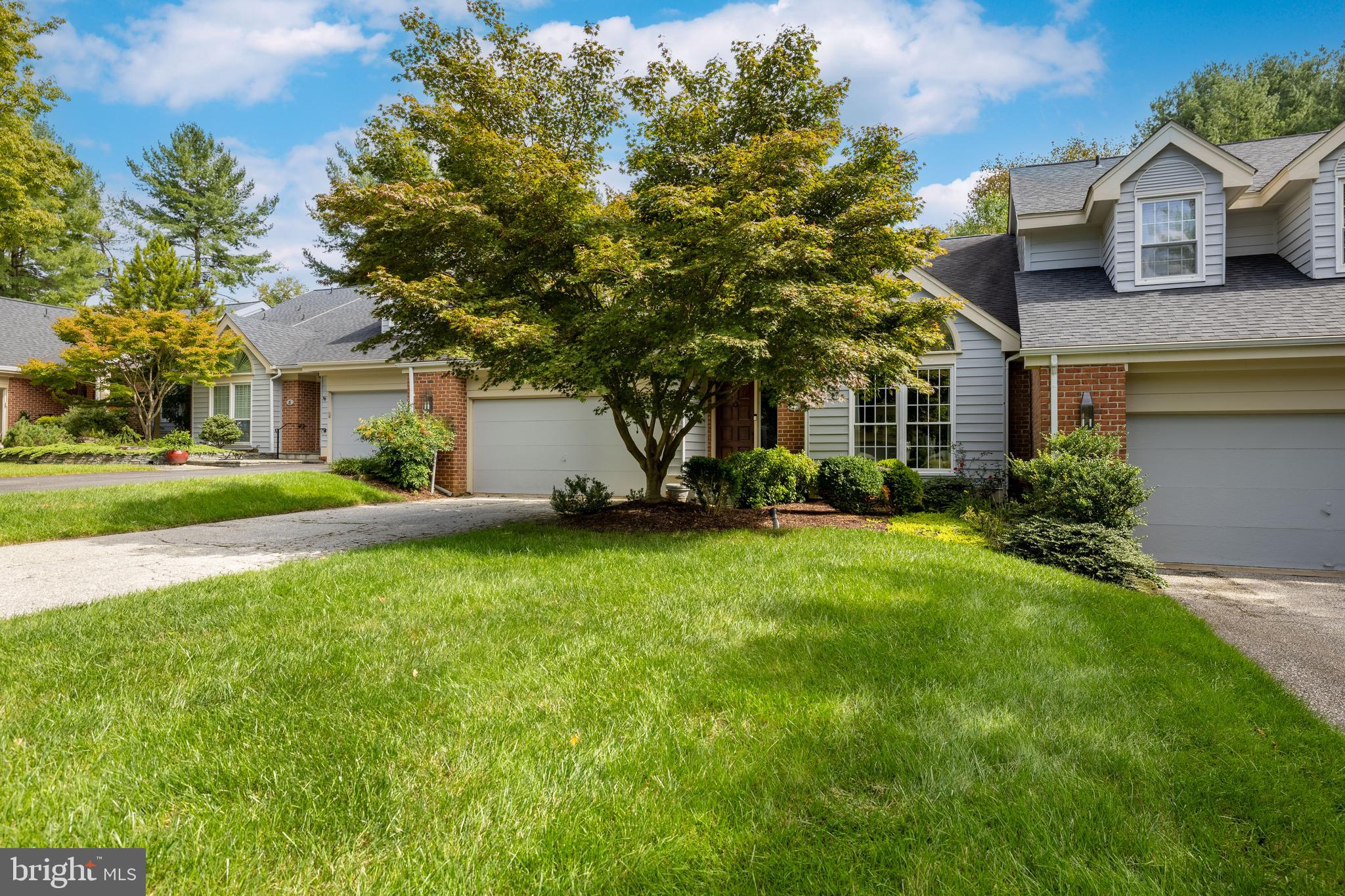 THE MEADOWS OF GREEN SPRING - Residential