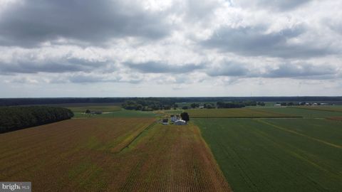 Vacant Land For Sale - 5449 Shell Road<br/> SNOW HILL, MD 21863