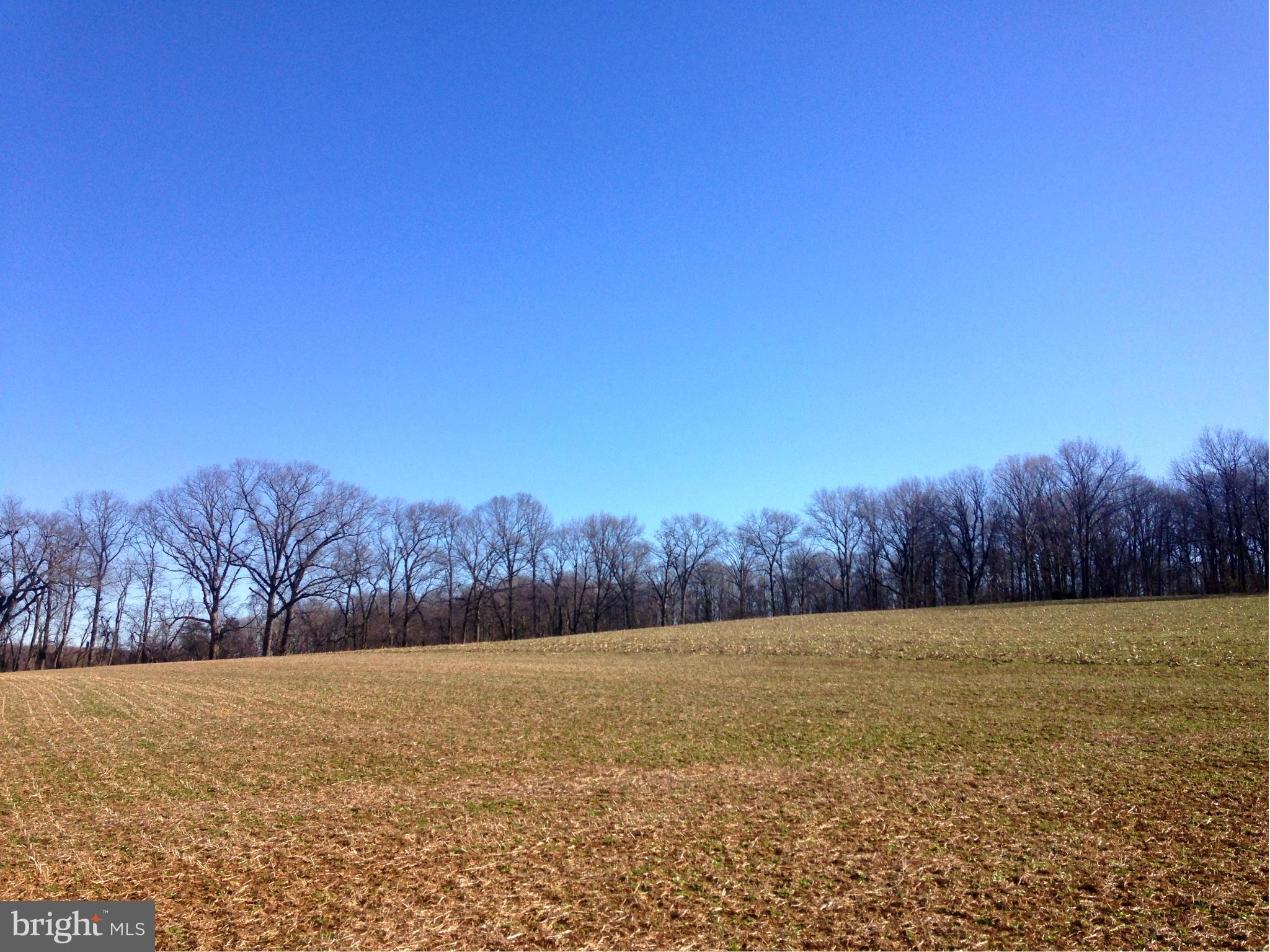 NONE AVAILABLE - Land