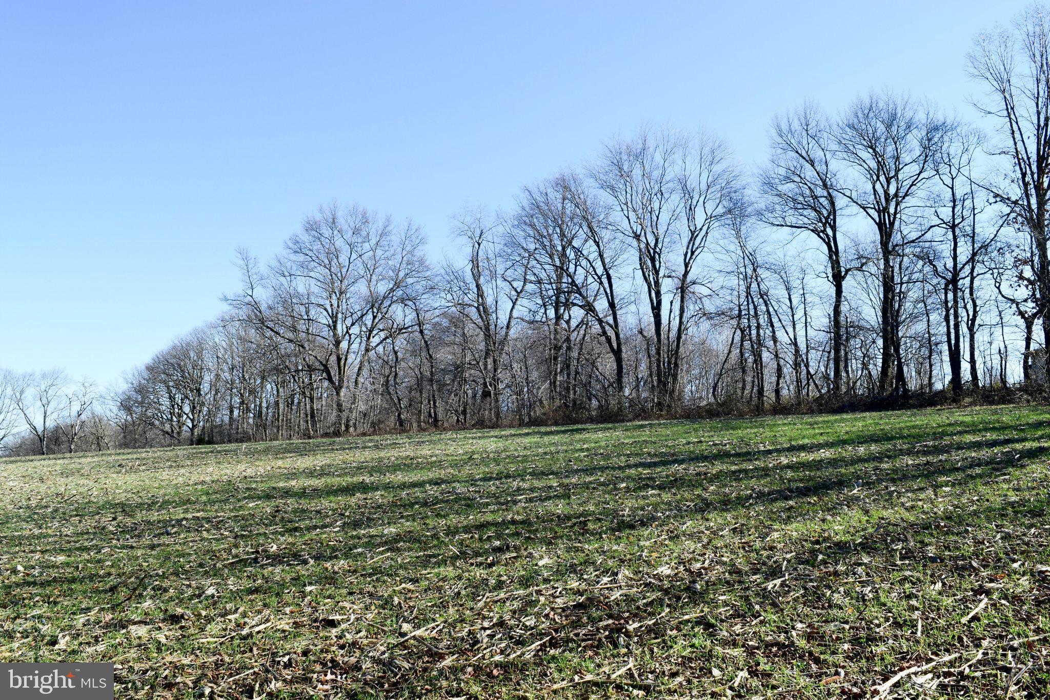 NONE AVAILABLE - Land