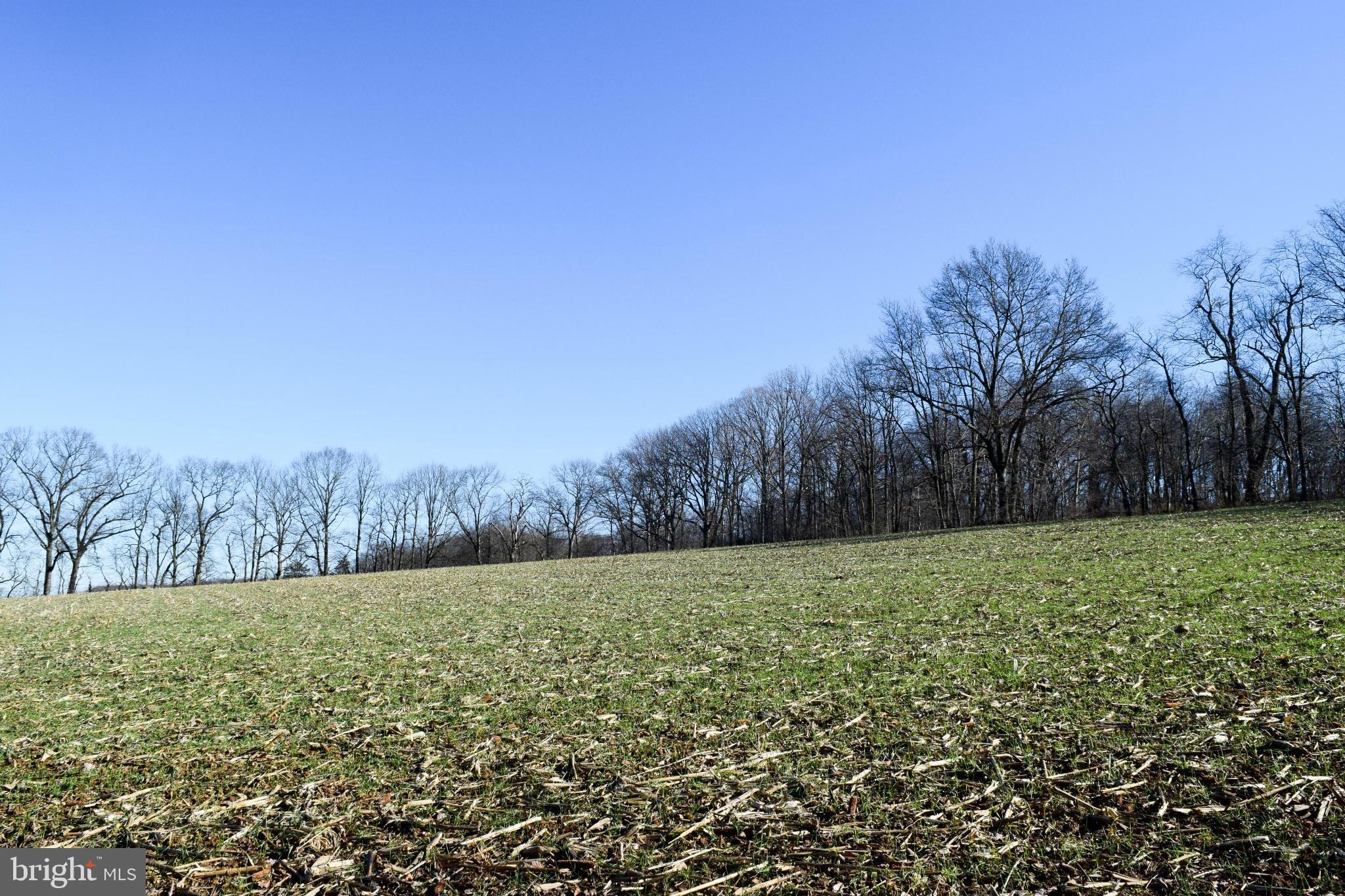 NONE AVAILABLE - Land