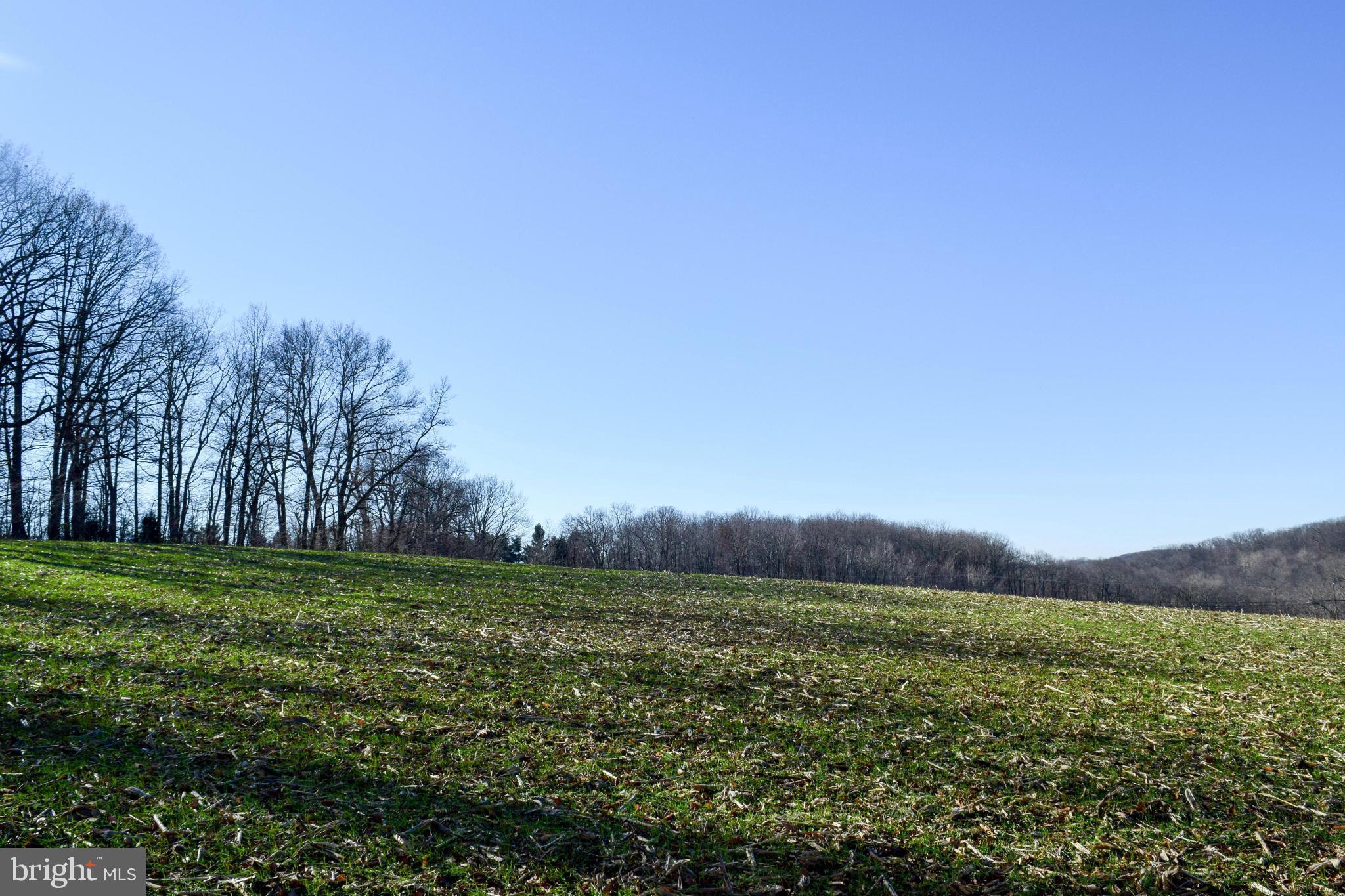 NONE AVAILABLE - Land