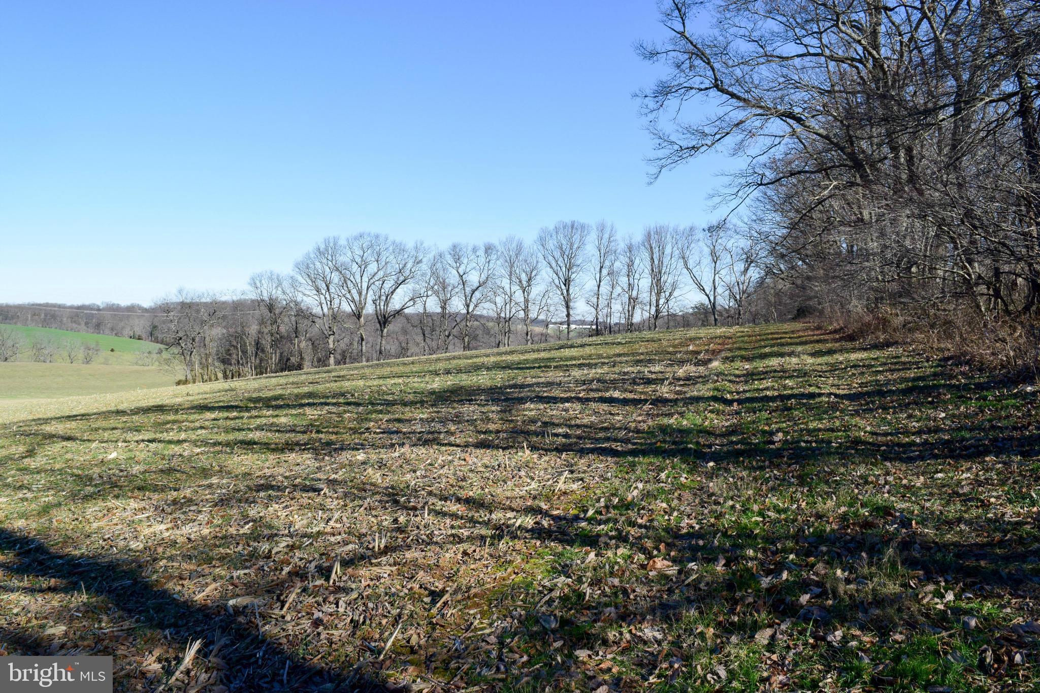 NONE AVAILABLE - Land