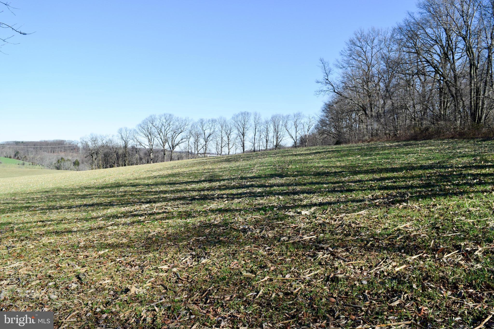 NONE AVAILABLE - Land