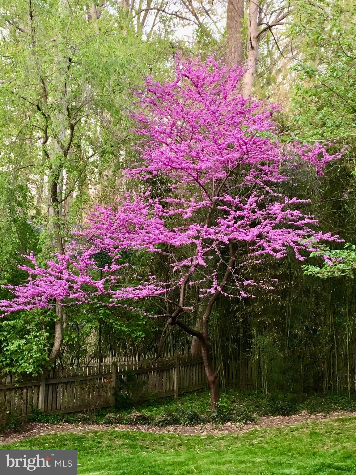 ROLLINGWOOD - Residential