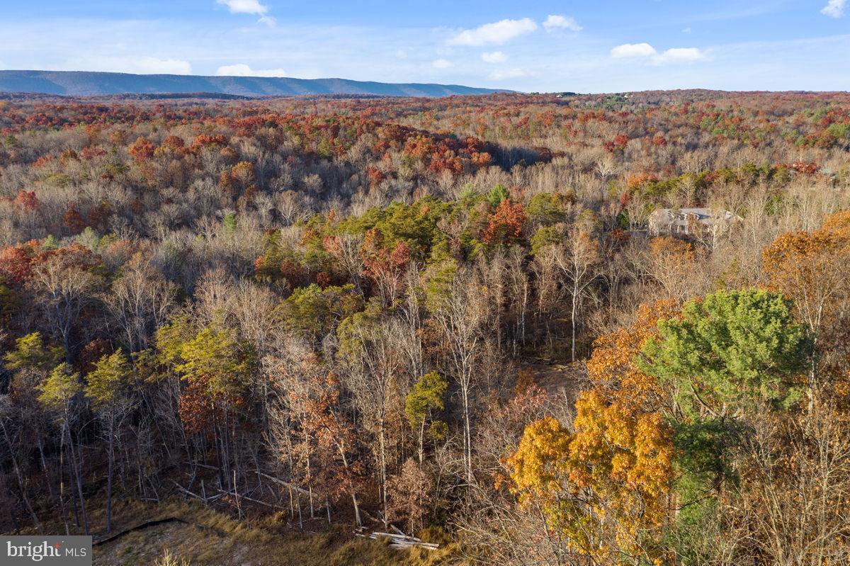 ROYAL OAKS - Residential