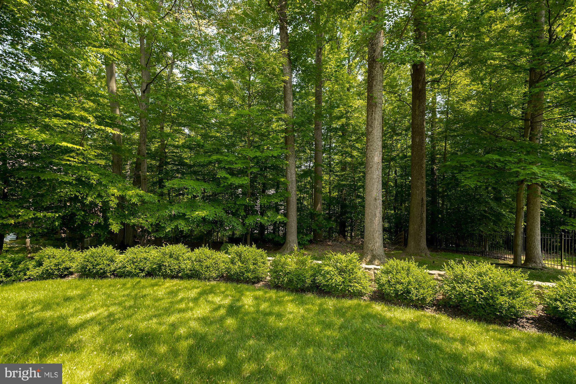 POTOMAC OVERLOOK - Residential