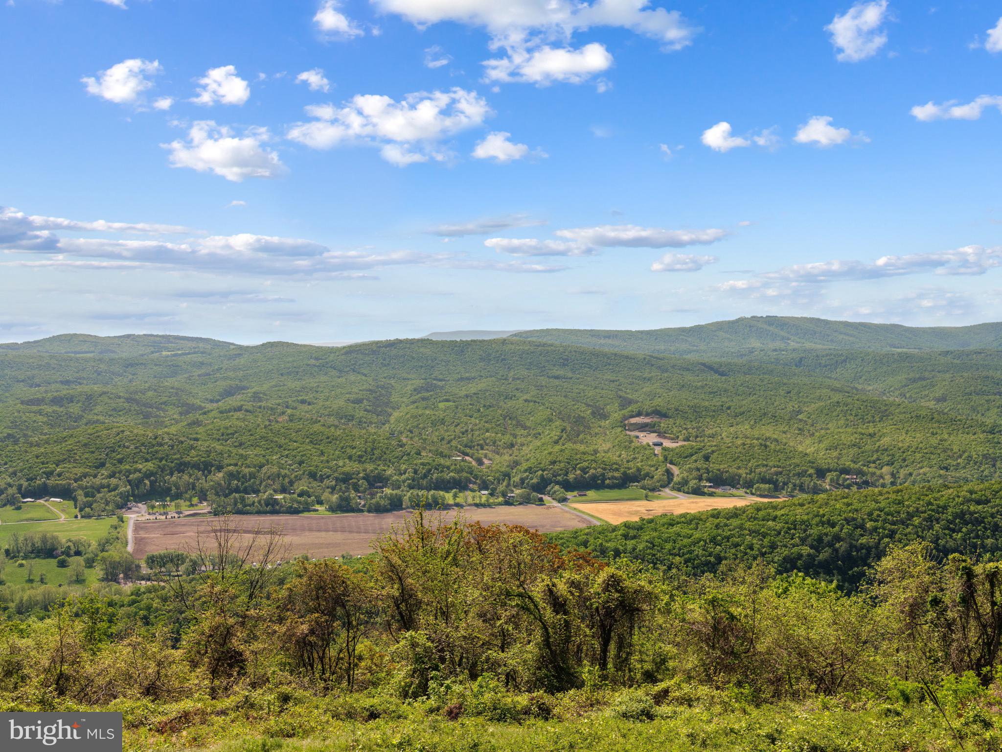 HIGH MOUNTAIN ORCHARDS - Land