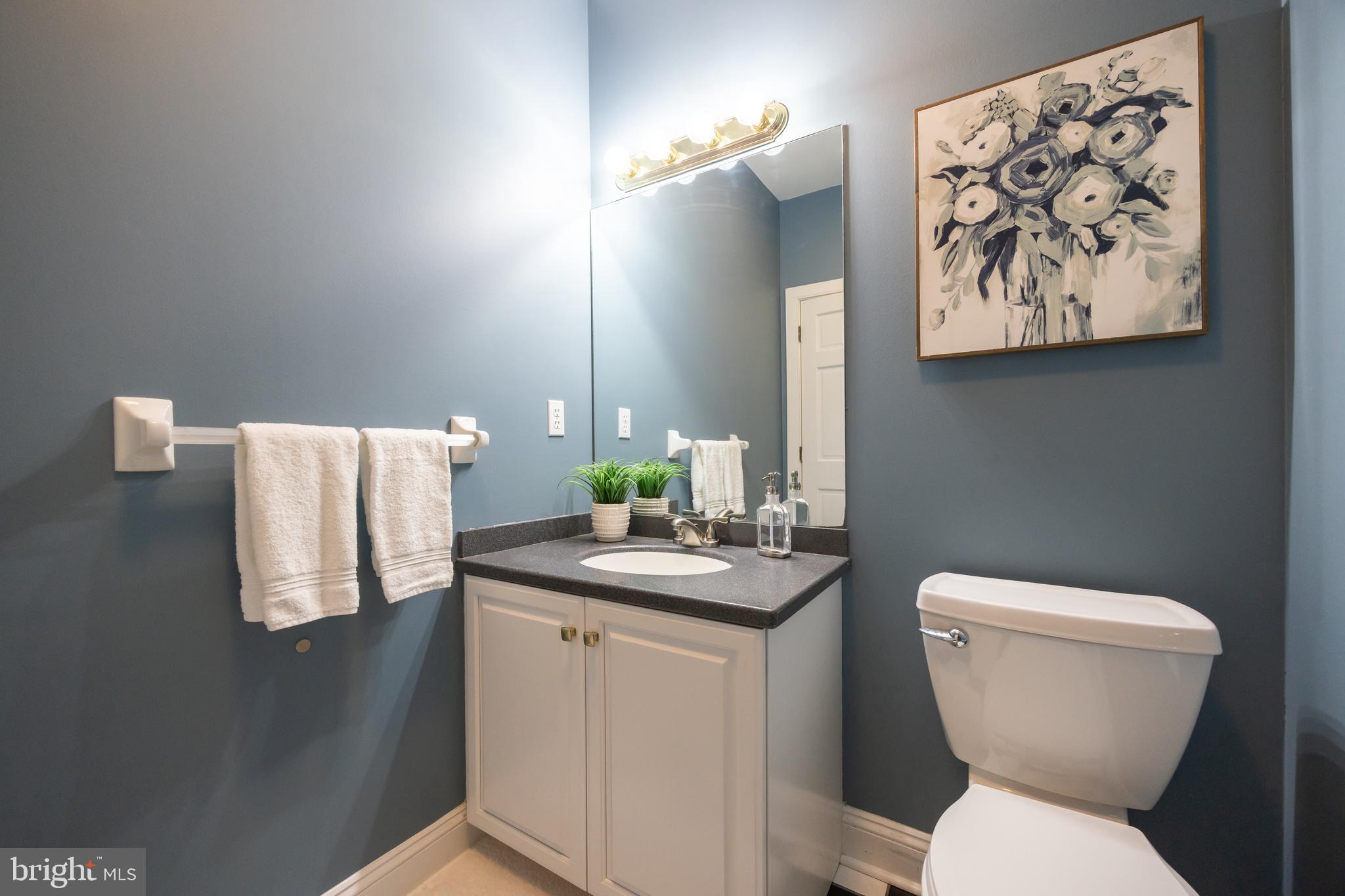 BLUE ROCK MEADOWS - Residential