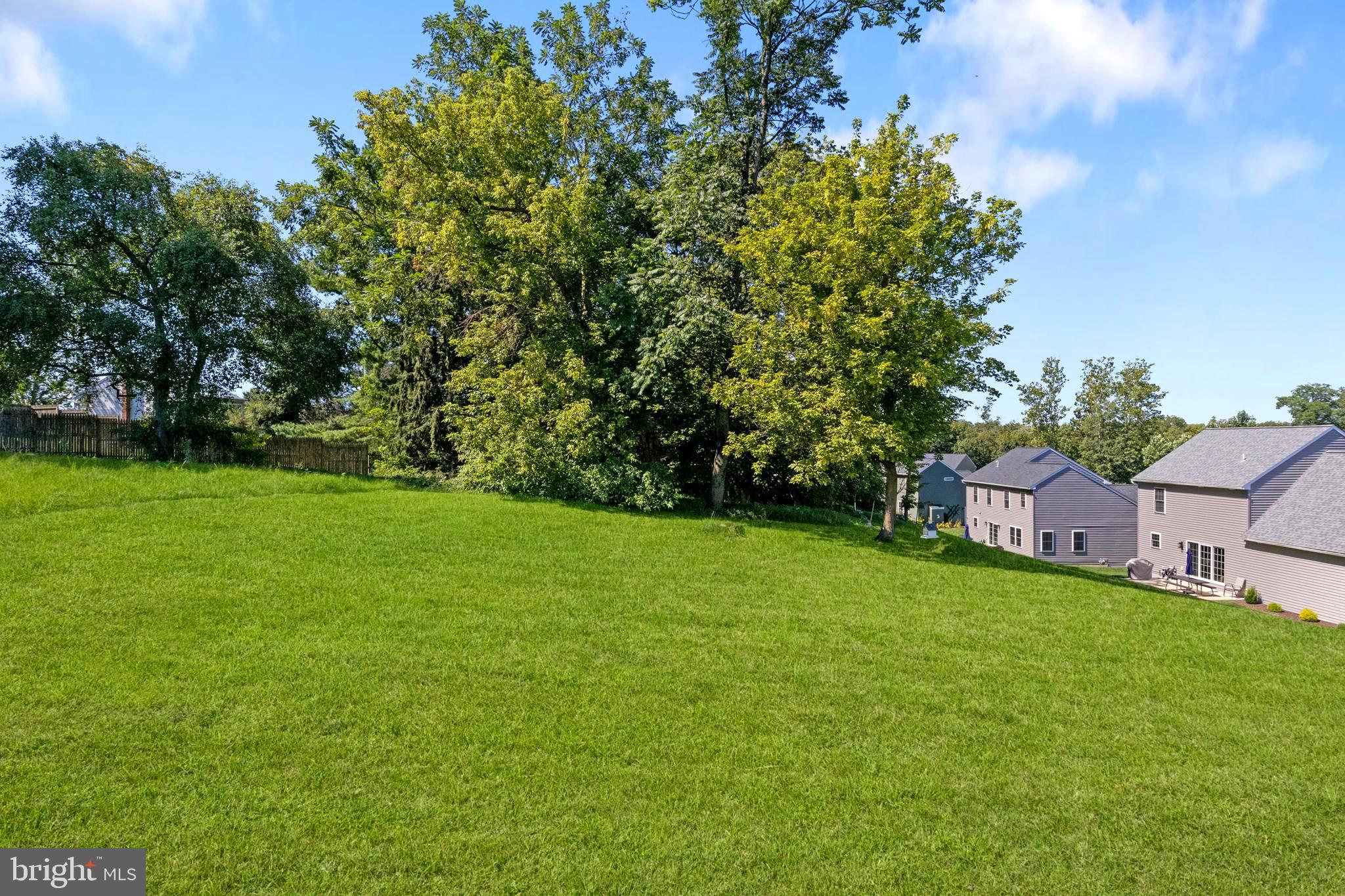 PROSPECT HEIGHTS - Residential