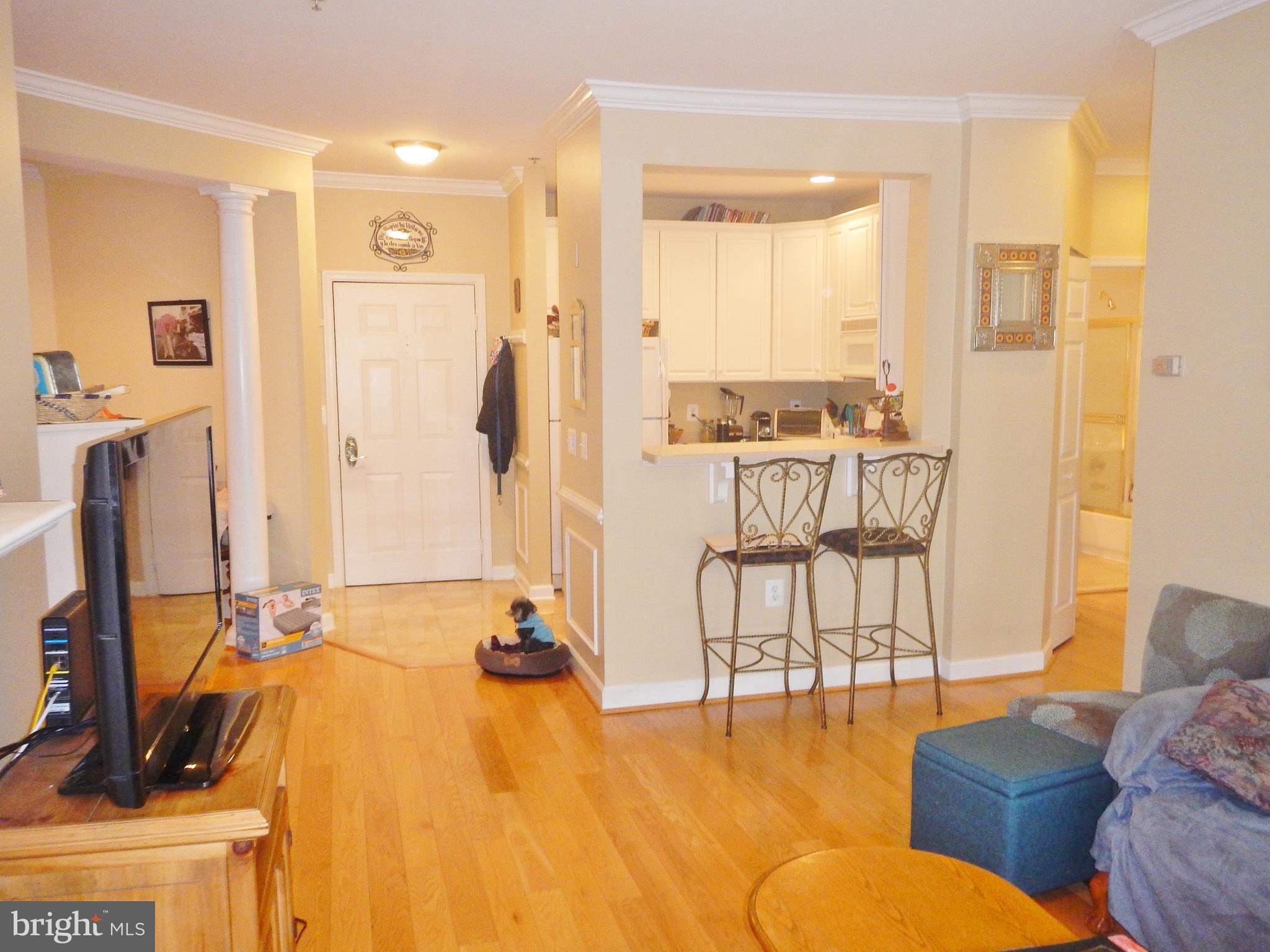 COURTHOUSE HILL - Residential Lease