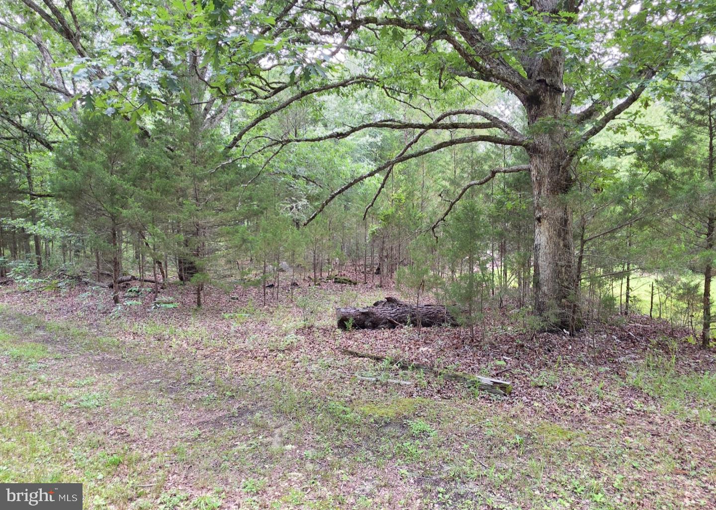 154 TWENTYFOURTH AVENUE