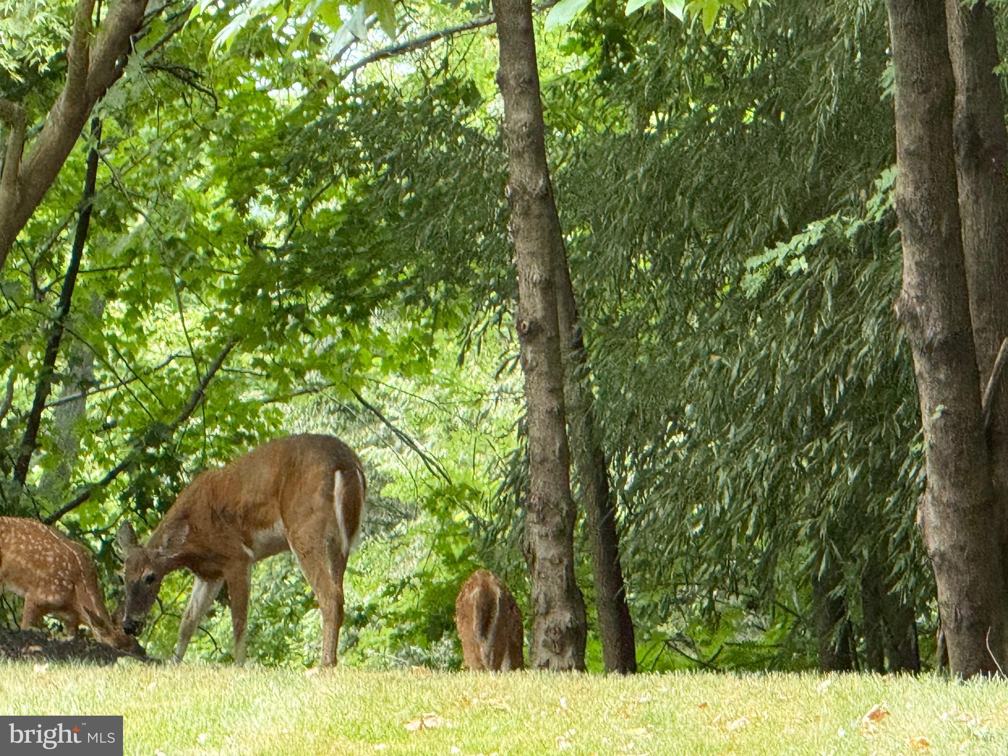 CLUB AT MCDONOGH - Residential