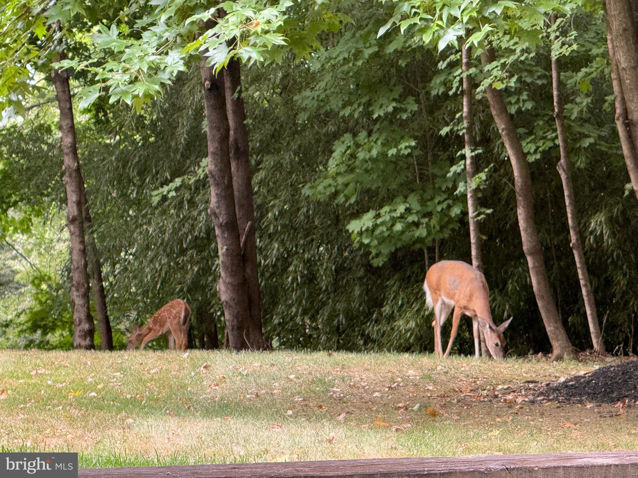 CLUB AT MCDONOGH - Residential