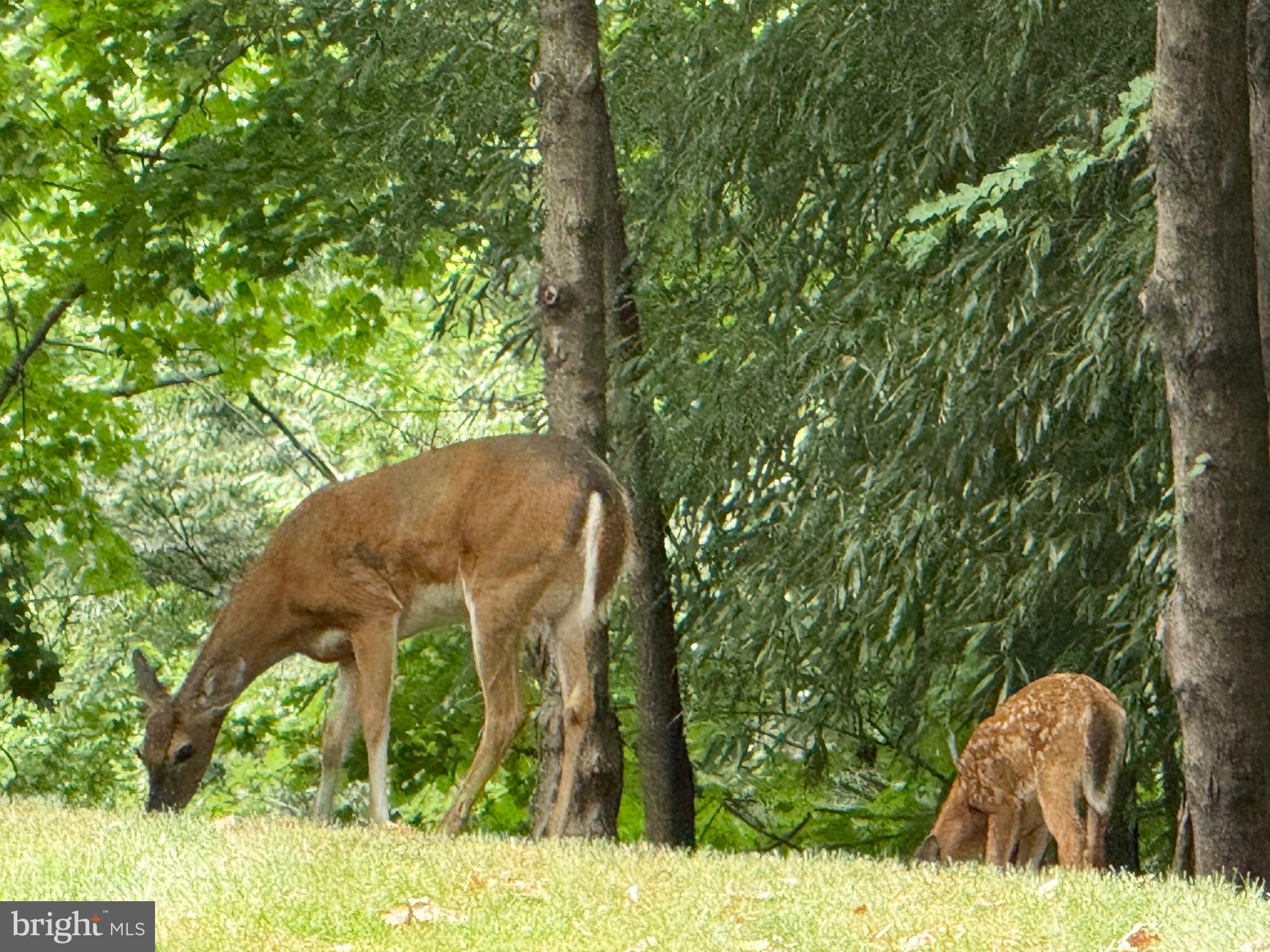 CLUB AT MCDONOGH - Residential