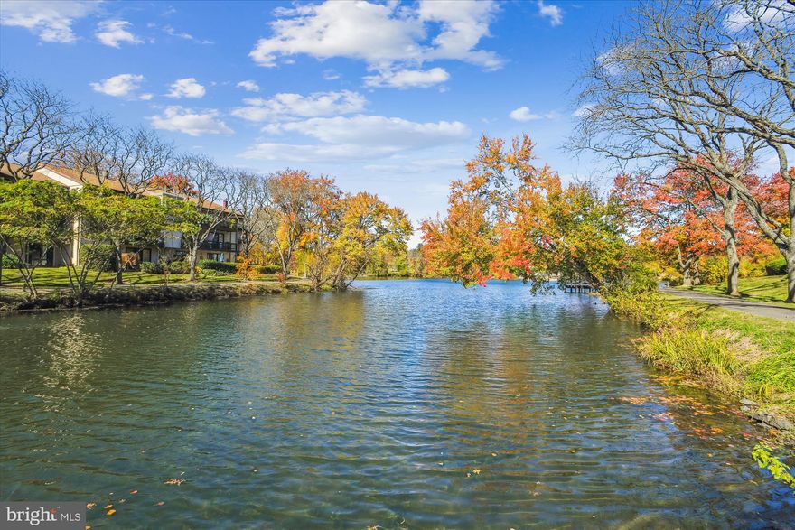 Amazing Waterfront living in downtown Columbia!  This rare opportunity presents a wonderful and idyllic lifestyle, not just a place to live. You'll gaze upon amazing sunsets and sip coffee for a morning sunrise over the sparkling waters of Wilde Lake. This hidden gem is in the highly sought after subdivision "The Cove".. Super convenient to Columbia Mall, Merriweather Post Pavilion, Columbia Library, Whole Foods, and all the amenities Downtown Columbia has to offer.
Starting off with parking which you'll find to be super abundant for a condo and you even get your own reserved space There is an electrical vehicle charging station for EVs too. This community boasts its own private gorgeous sun draped  pool and  a well-run association that includes the water, sewer, landscaping, mowing, building cleaning and even trash removal. This particular unit is right on the water just a stone's throw from The Cove of Wilde lake. You're on the ground floor so no steps to the sunlit filled covered patio and rippling waters of the lake.  A perfect place to enjoy a drink and watch birds, fish, flowers and wildlife
This warm home features fresh bright paint, new carpeting, updated windows, and easy to care for luxury vinyl plank flooring. The eat-in kitchen has the preferable gas cooking, built-in microwave, a good amount of cabinet space and is a great place to cook up a morning meal to watch the sunrise over the water. 
The primary bedroom is  well sized with its own huge walk-in closet. The nearby bathroom features a beautiful tile lined tub shower with tile flooring and ceramic sink.
Water and sewer are included in the condo fees and this unit has economical gas heating and of course central air conditioning to keep you comfortable year-round. And all this plus your private pool is just a few feet away LOL!
This is a once in a lifetime opportunity to own a waterfront home in desirable Columbia!