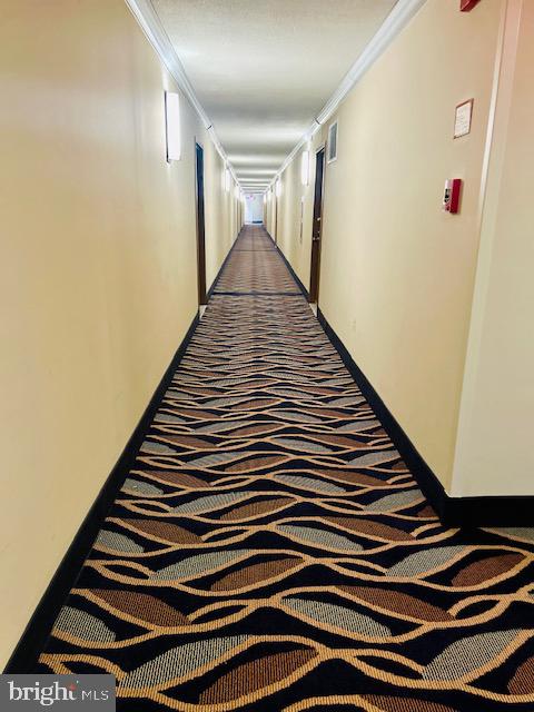 UNIVERSITY TOWERS CODM - Residential