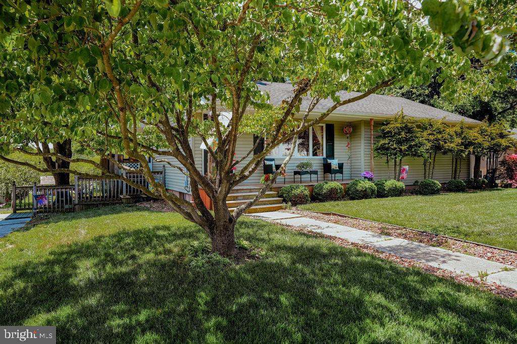 57 DAWSON DRIVE