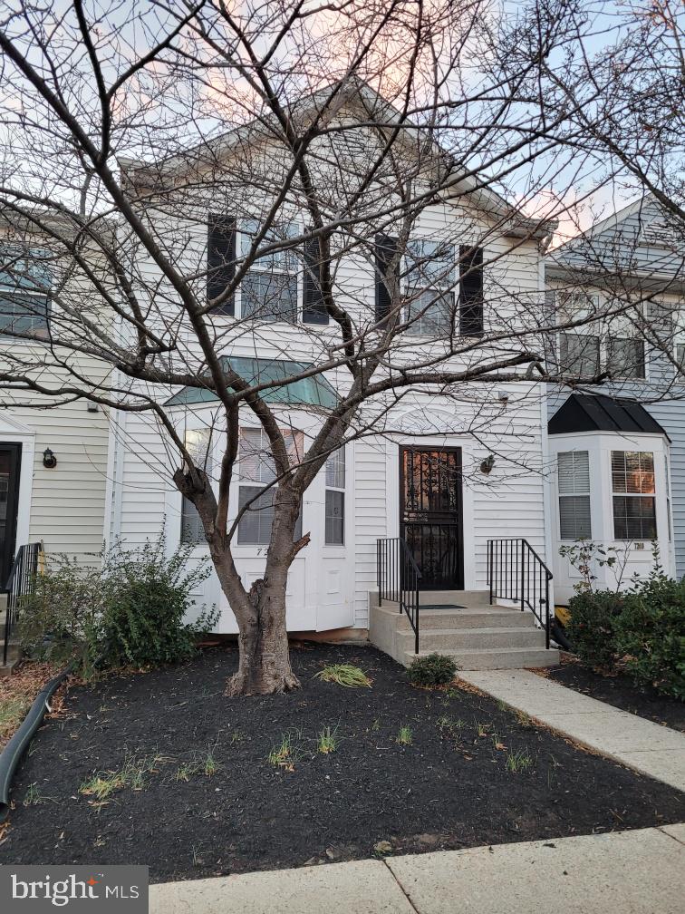 WINDSOR GREEN - Residential Lease