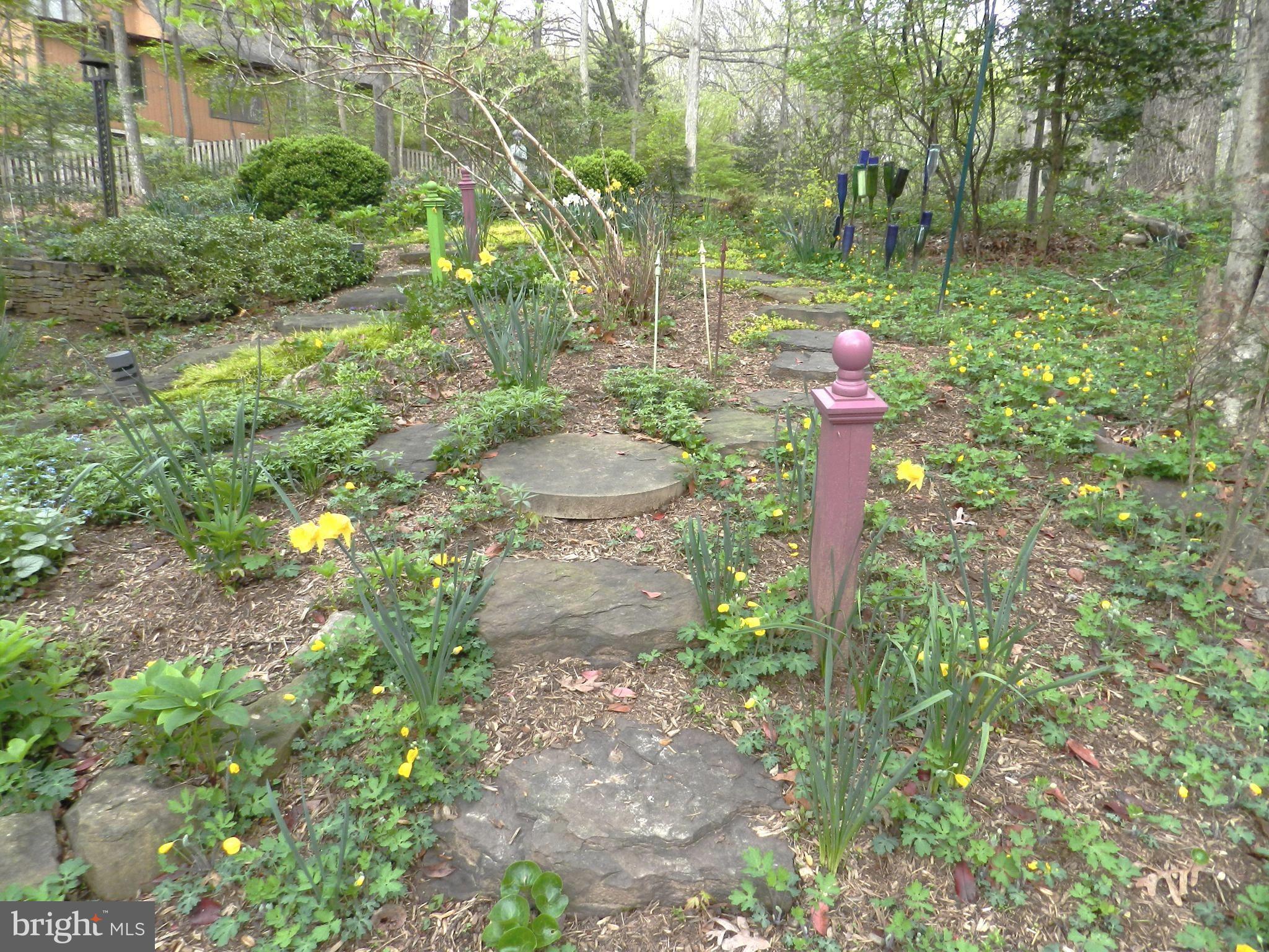 FOX VALE - Residential