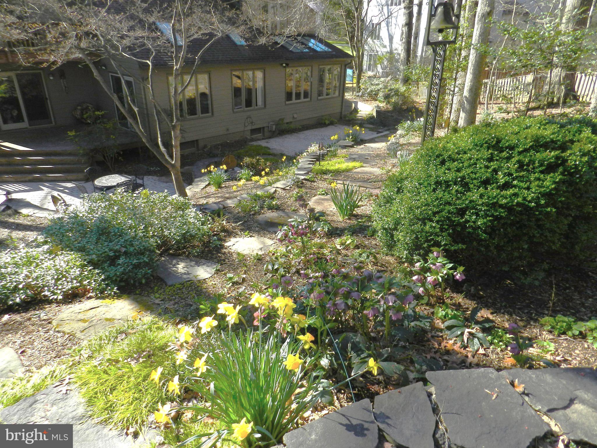 FOX VALE - Residential