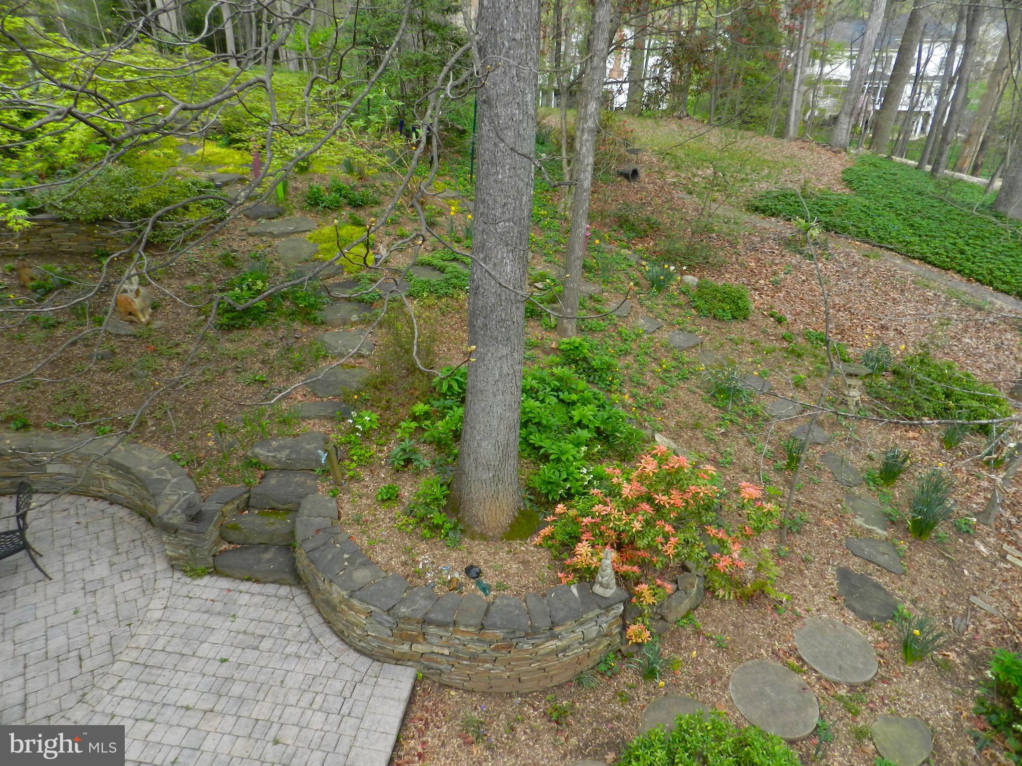 FOX VALE - Residential