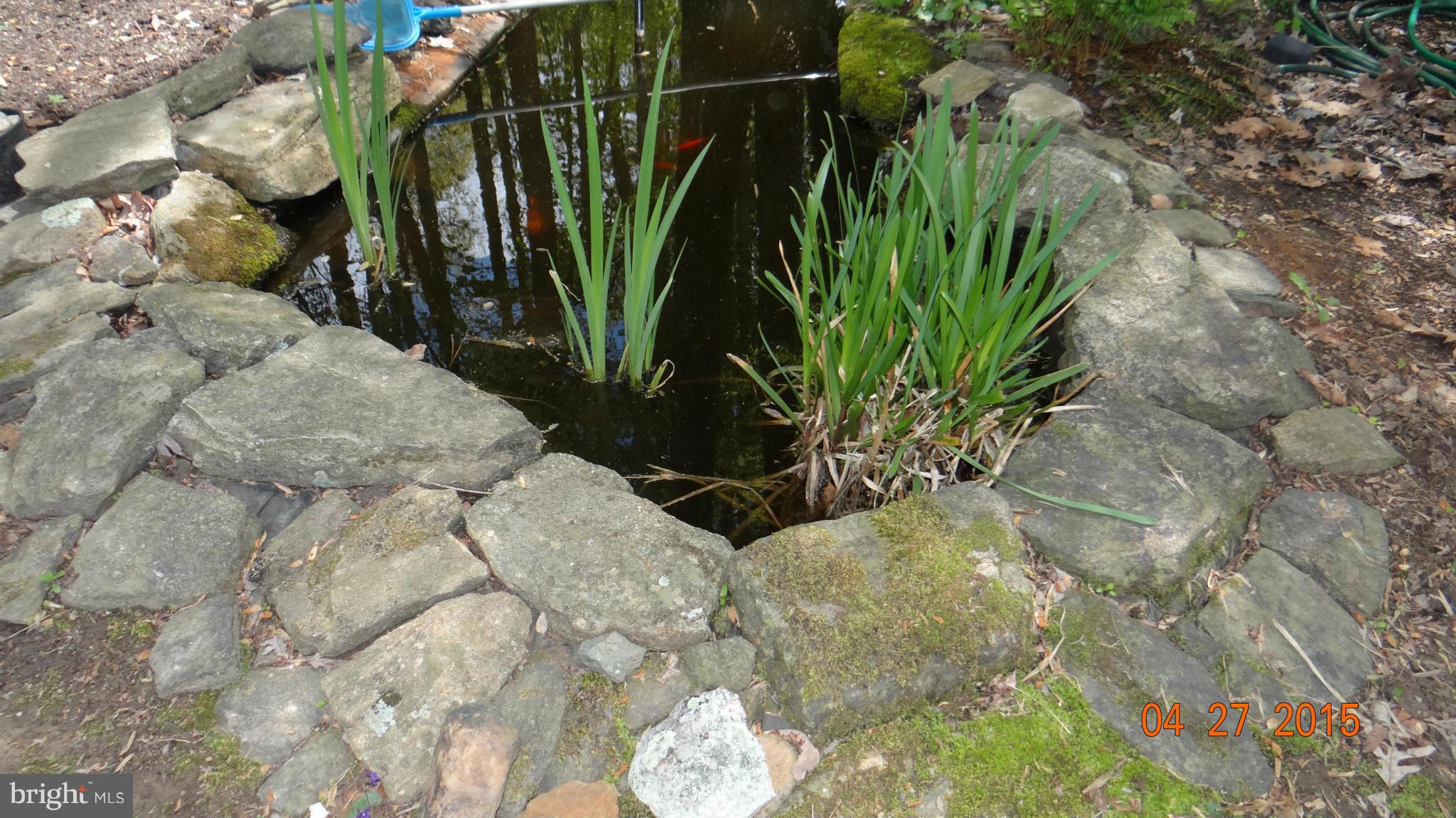 LEWISTOWN ESTATES - Residential