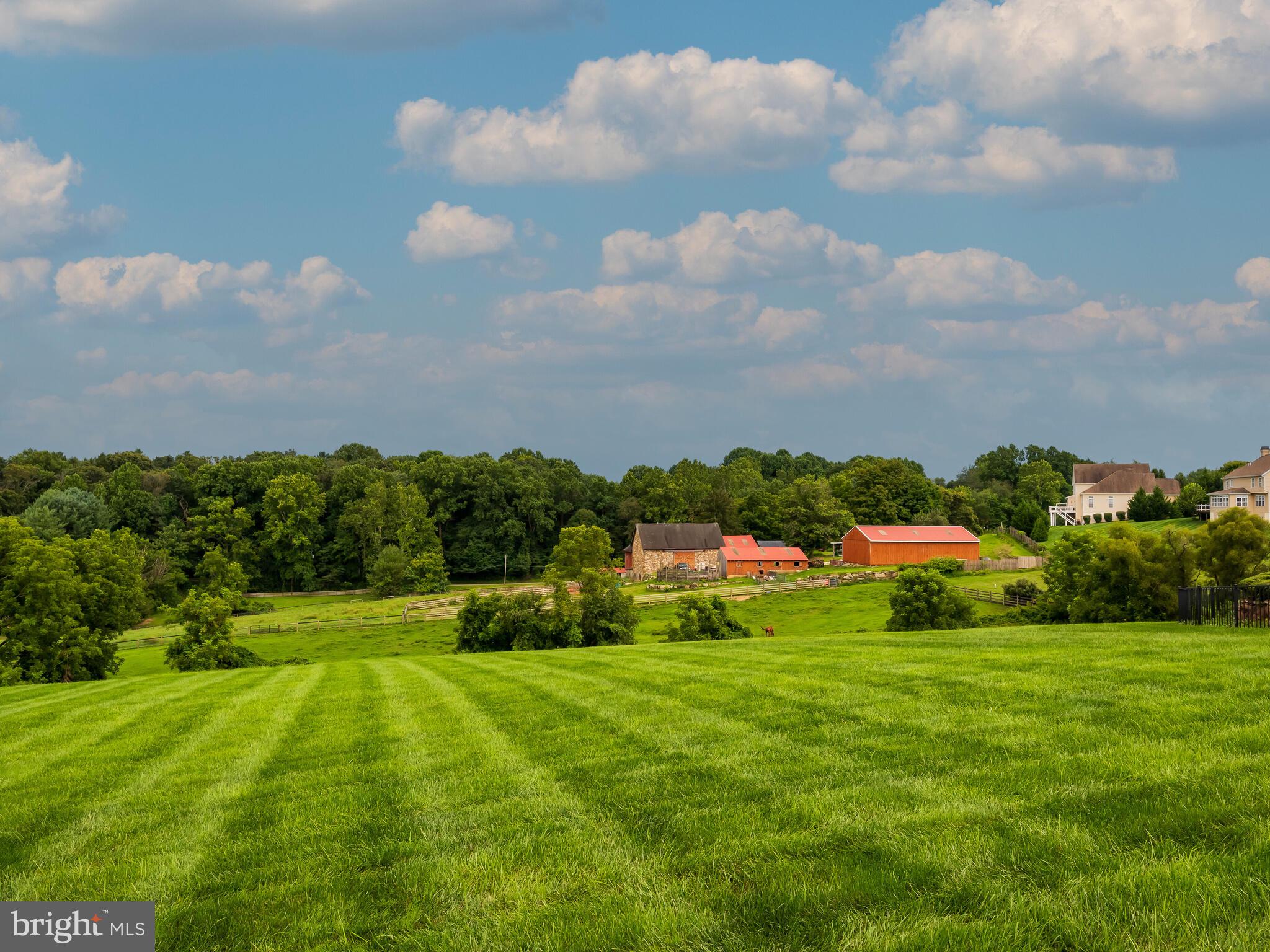 WHITE CLAY KNOLL - Residential