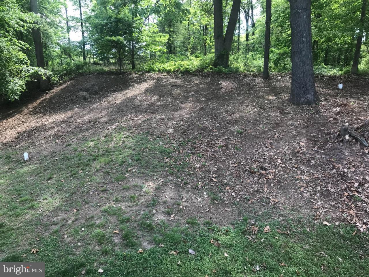 BOULEVARD PARK - Residential