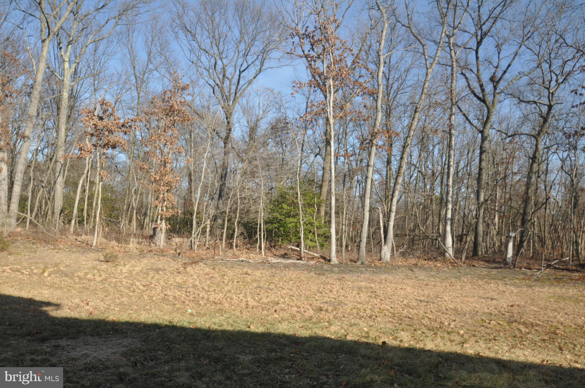 TANYARD SPRINGS - Residential