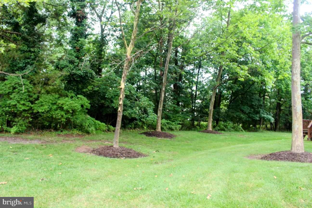 HAMPTON GREEN - Residential