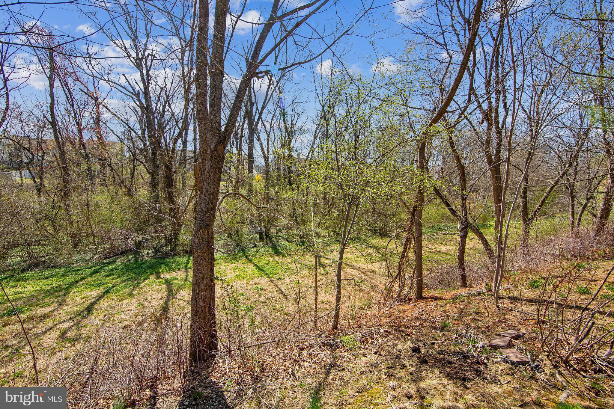 TERRACE AT MONTGOM - Residential