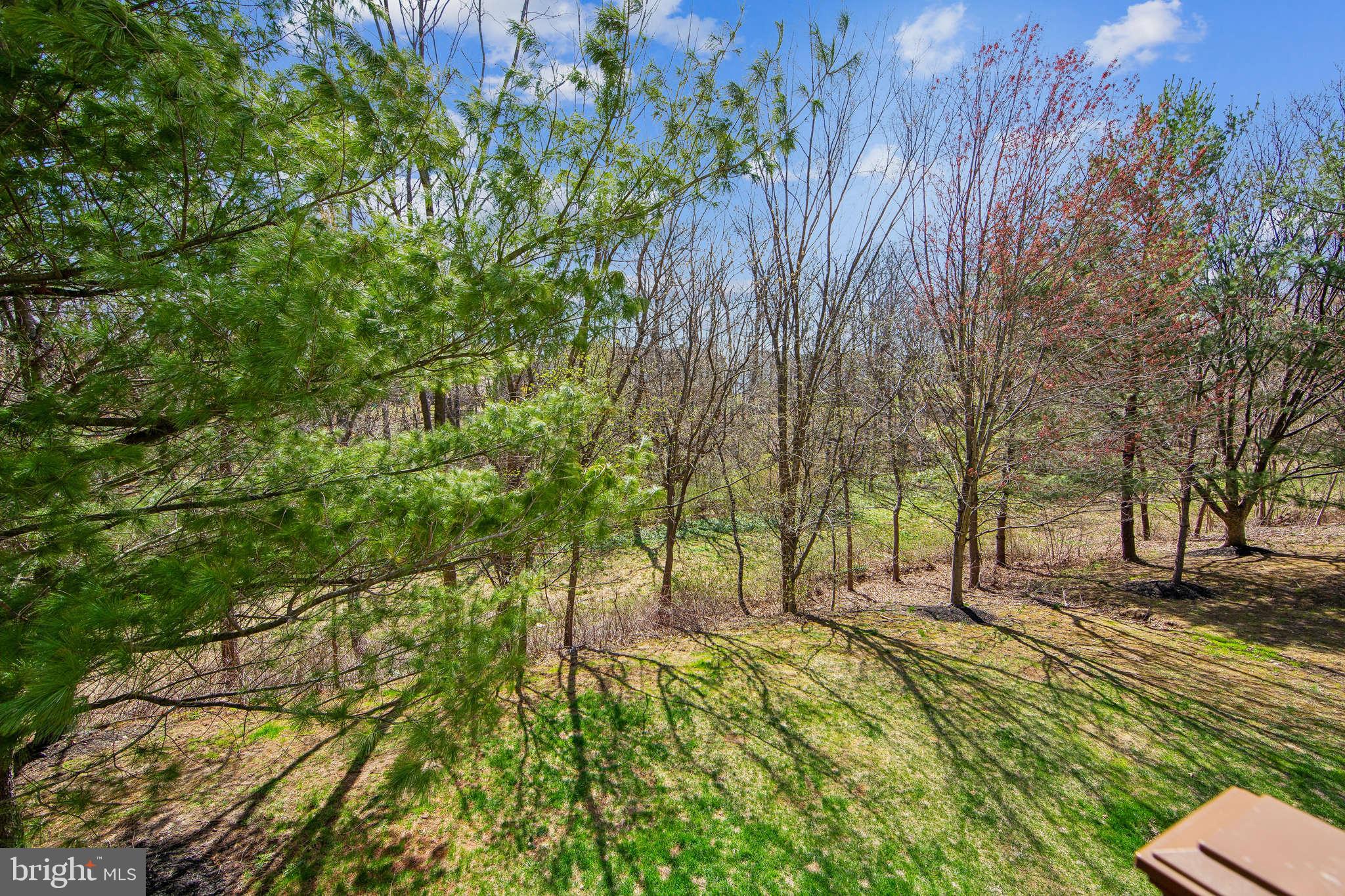 TERRACE AT MONTGOM - Residential