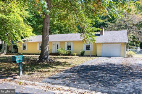 29202 HOLLY ROAD EASTON MD 21601