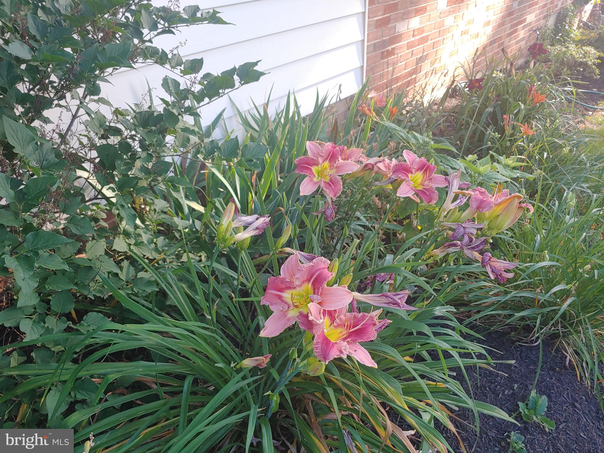 OLNEY MILL - Residential