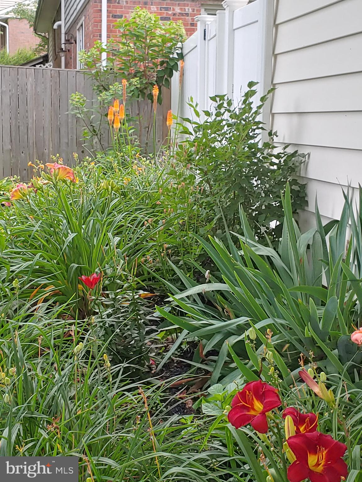OLNEY MILL - Residential