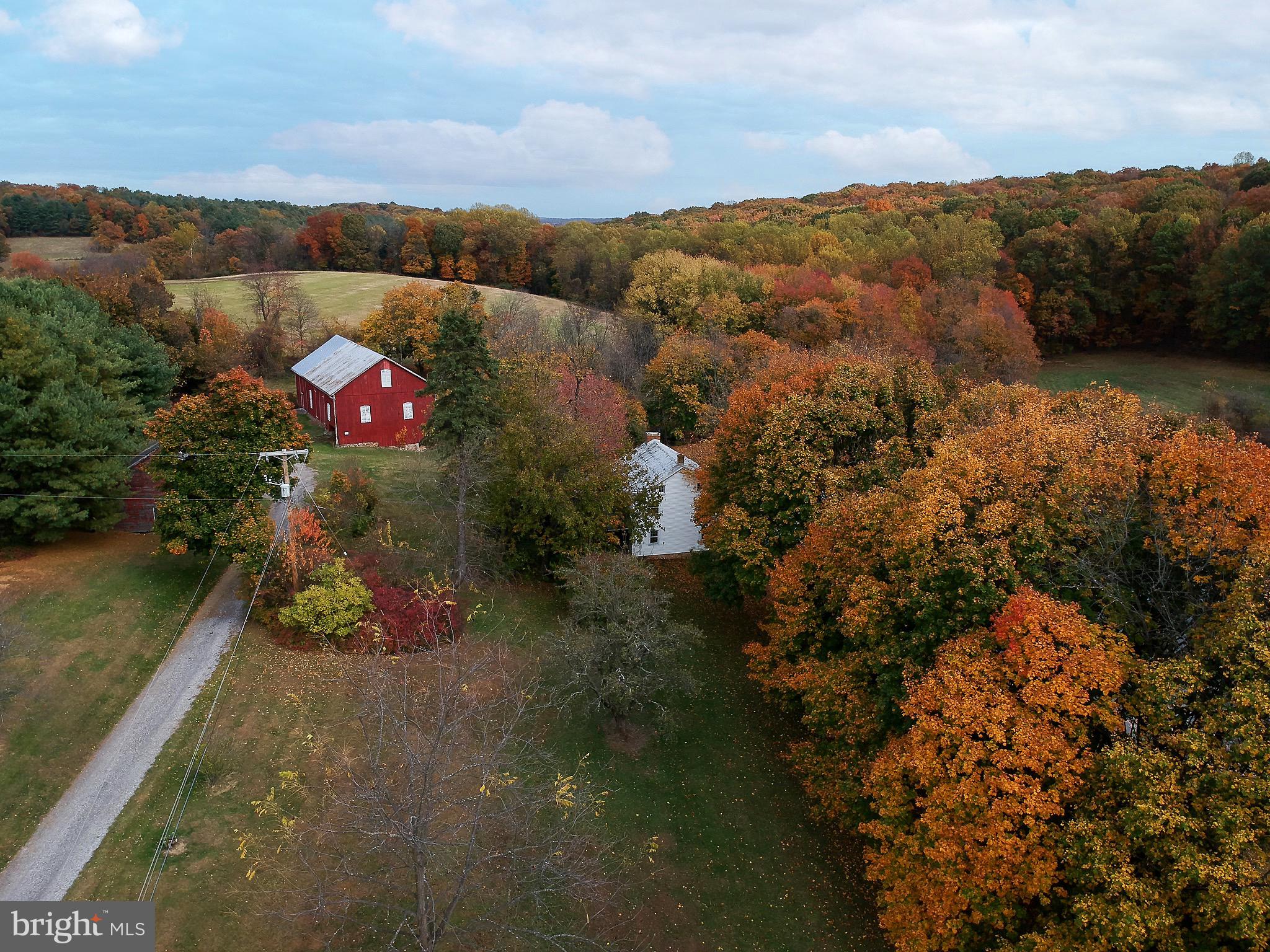 2425 MOUNT VENTUS ROAD