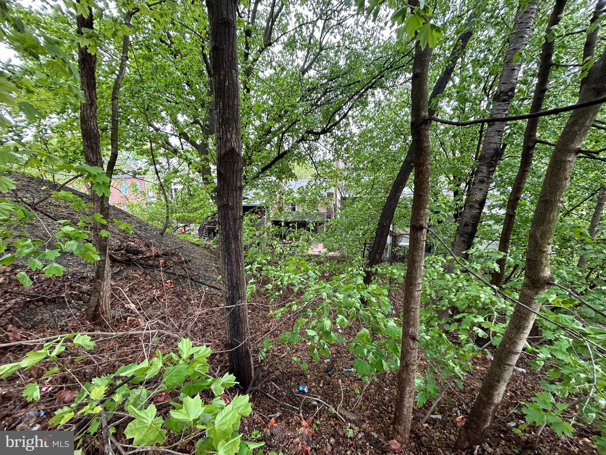 SHAMOKIN - Residential