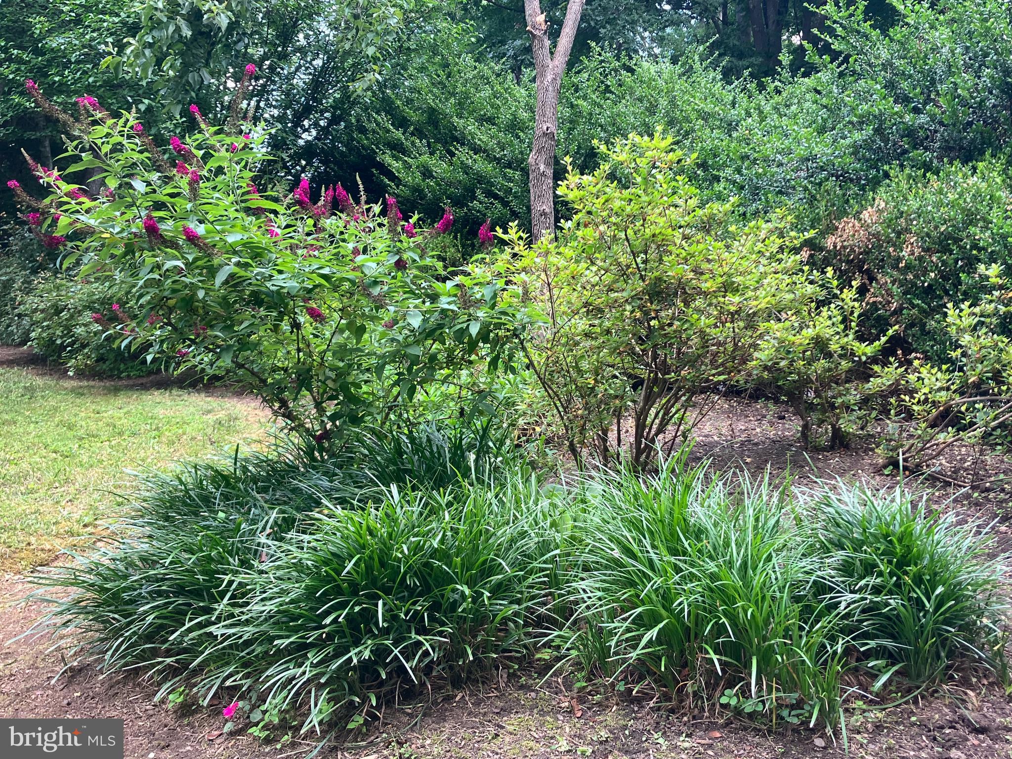 LAKE WILDERNESS - Residential