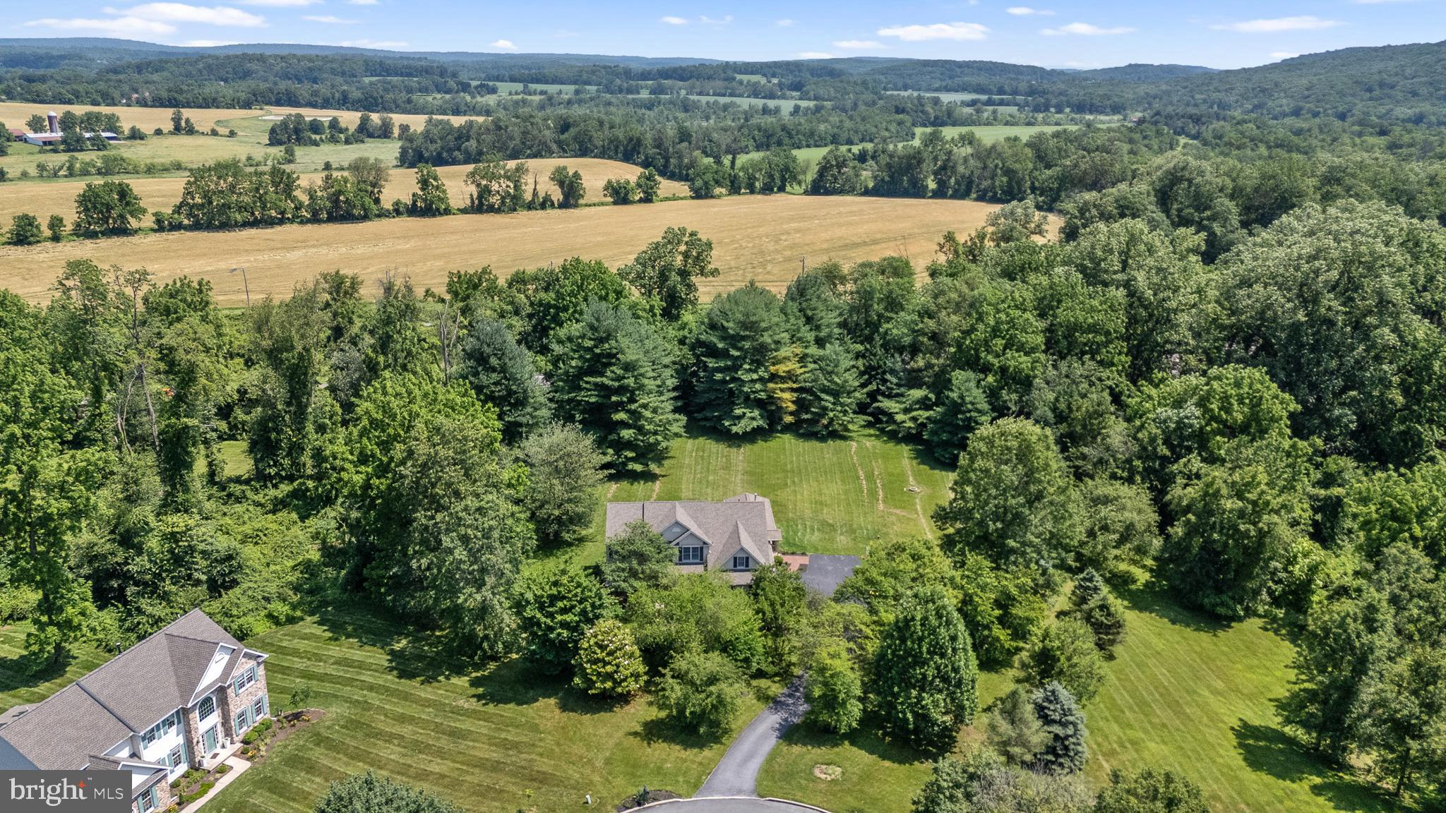 40 CHANTICLEER