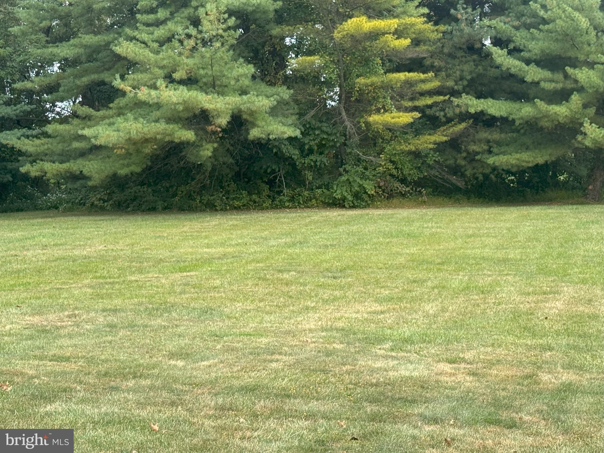 SYCAMORE LANE - Residential