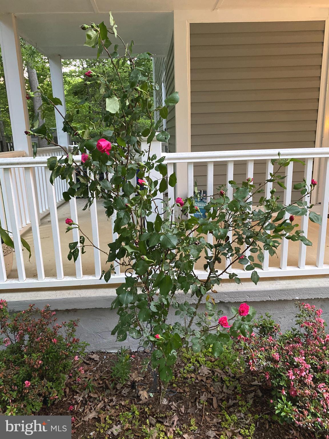 DORCHESTER - ST. CHARLES - Residential Lease