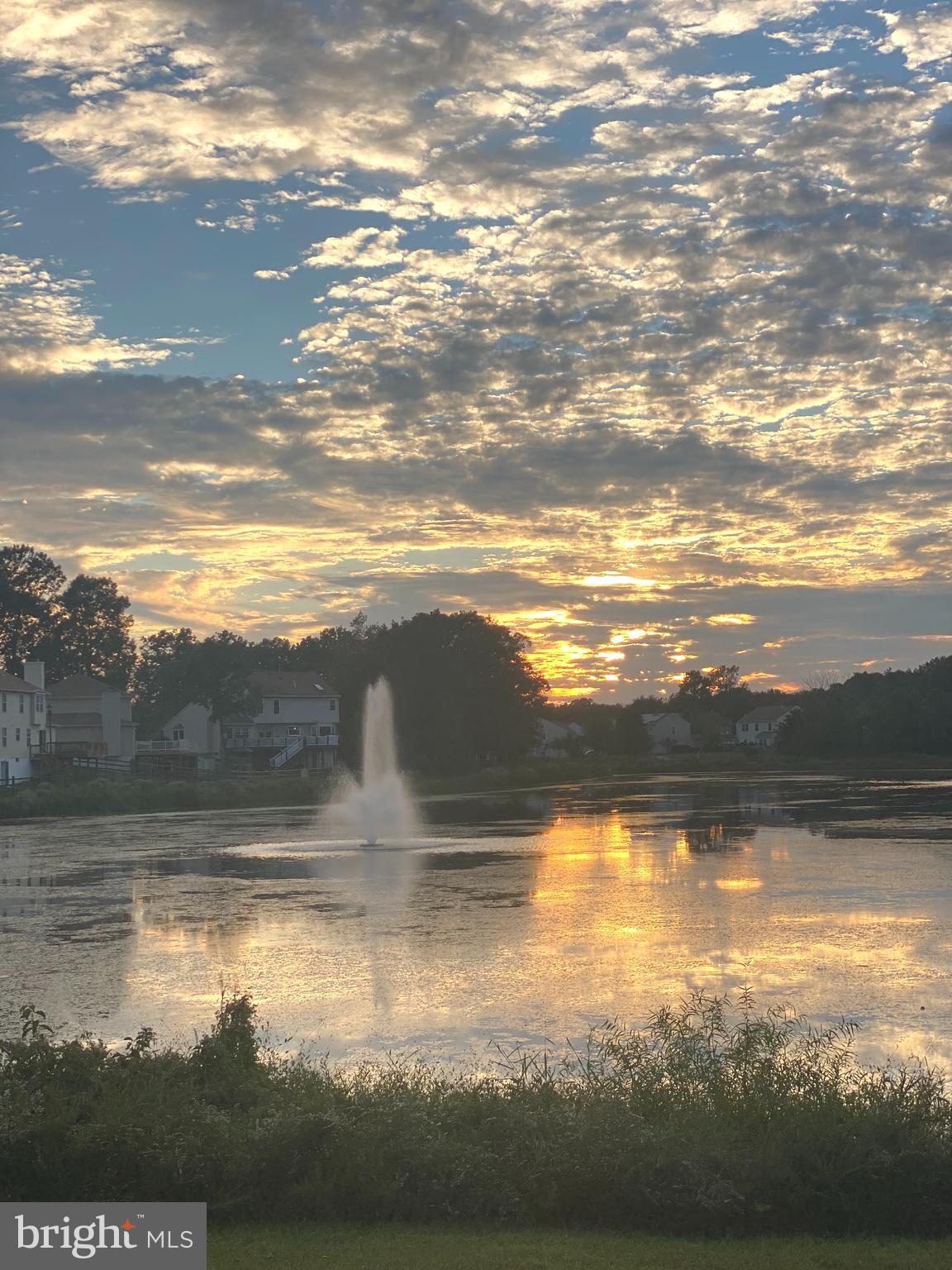 DORCHESTER - ST. CHARLES - Residential Lease